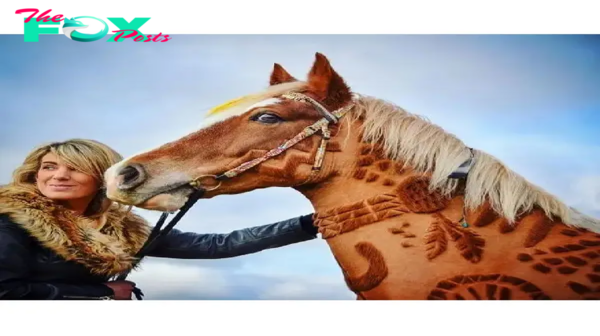 SAO.Meet the ‘Horse Barber’ Who Crafts Stunning Clipping Art on Horses (Photos).SAO