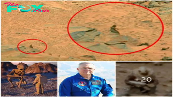 OMG! Nasa Astronauts Talk About Meeting Aliens On The Moon But Only Recorded Vague Silhouettes…