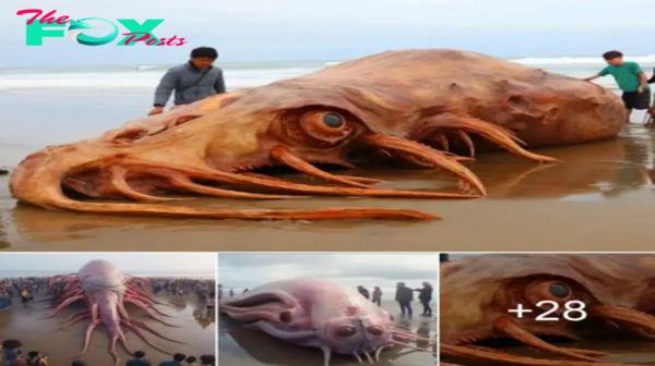 Lamz.”Panic Erupts as 700-Ton Mysterious Creature Emerges!”