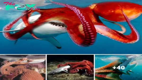 Lamz.Epic Showdown: Octopus vs. White Shark – Who Will Emerge Victorious?