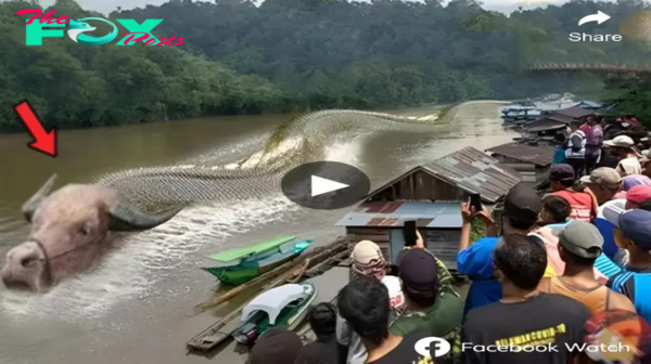 Lamz.Villagers Witness a Mysterious Creature: A Buffalo-Headed Being Emerges from the Water in a Chilling Spectacle