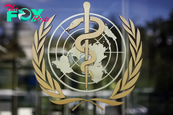 Efforts to Draft a Global Pandemic Treaty Falter After More Than Two Years of Negotiations