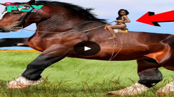 Vea 10 caballos tan afortunados Las 10 razas de caballos más raras y más largas del mundo (video).