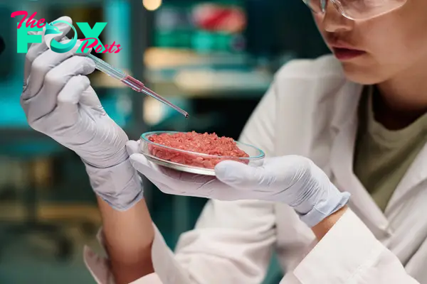 The Sale of Lab-Grown Meat Has Already Been Banned by Some U.S. States. Here’s Why