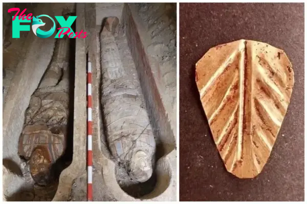 B83. Unveiling Dark Secrets of Ancient Egypt: 70 Million Mummified Animals Uncovered