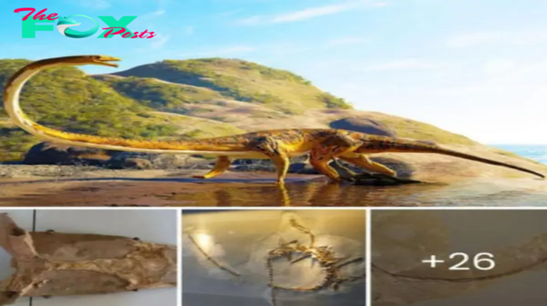 Jurassic Jaws Uncovered: Astonishing Dinosaur Decapitation Discovery Sheds Light on Prehistoric ргedаtoгу mуѕteгіeѕ