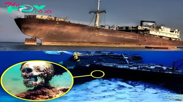nht.Breaking: Ship Lost in 2009 Resurfaces in Indian Ocean, Igniting Ghost Ship Speculations!