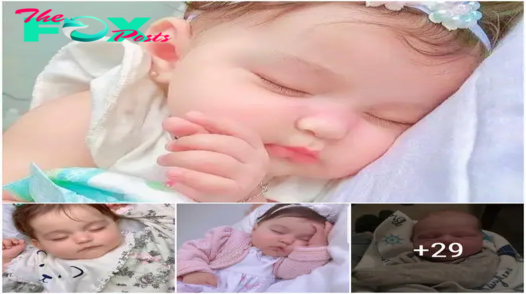 Charming purity: The peaceful beauty of sleeping angels.