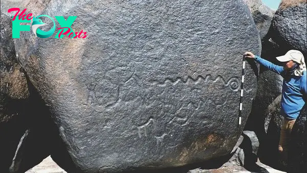 2,000-year-old rock art, including nearly 140-foot-long snake, may mark ancient territories in Colombia, Venezuela