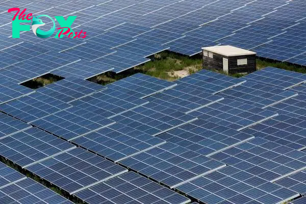 Solar investment surpasses all other power forms: IEA