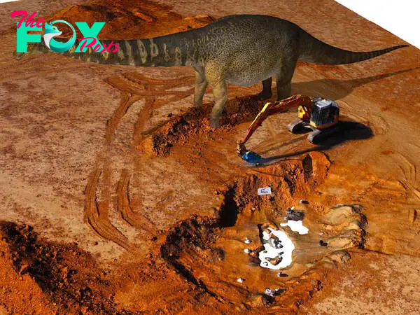 B83.Unveiling History: Fossil Hunters Unearth ‘Rosetta Stone’ Dinosaur Skeleton in Australia’s Ancient Sea