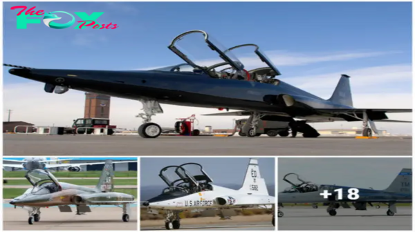 The T-38 Talon: A Timeless Design and Enduring Versatility Make It an Aviation Marvel -zedd