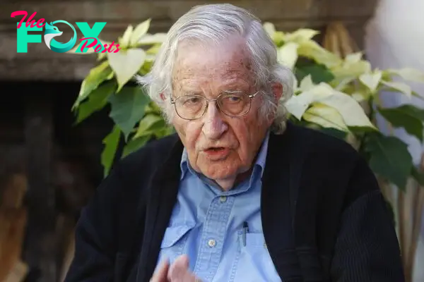 Public Intellectual Noam Chomsky Suffered ‘Massive Stroke’ and Is Recovering in Brazil