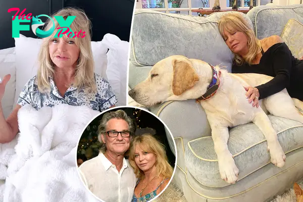 Goldie Hawn is ‘never without a guard’ after experiencing back-to-back home invasions