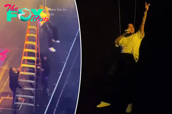 Chris Brown gets stuck dangling in the air during concert, rescued by ladder