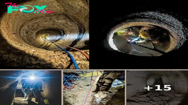 Rescuers Do A Double Take When They Spot Dog Trapped 60 Feet Underground