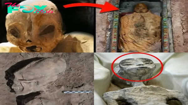 nht.Most recently, scientists found an alien mummy in Mexico in 1902, making everyone extremely confused.