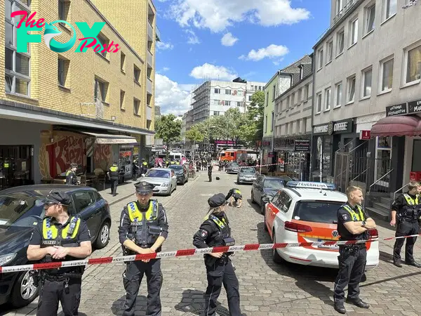 German Police Shoot Man Allegedly Threatening Them With a Hammer in Euro 2024 Host City Hamburg