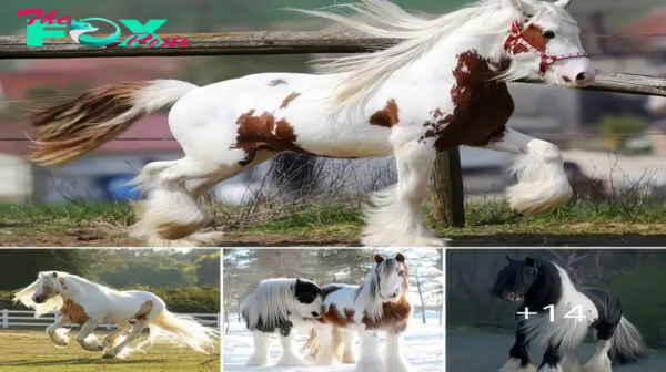 A Mesmerizing Horse with Long, Silky Hair That Reaches the Ground.