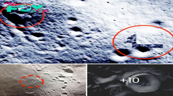 Mysterious Encounter: Boomerang-Shaped Object Surpasses Sun on Nov 27, 2023, Raises Questions as Video Evidence Emerges