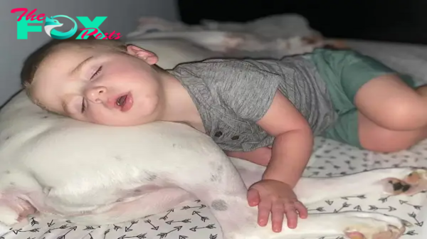 Warm bond: The boy sneaks out of bed to sleep with his beloved dog.