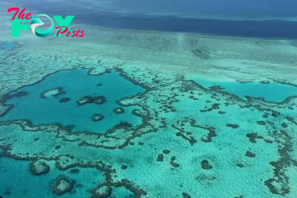 Bleaching impacts half of marine park reefs in Malaysia