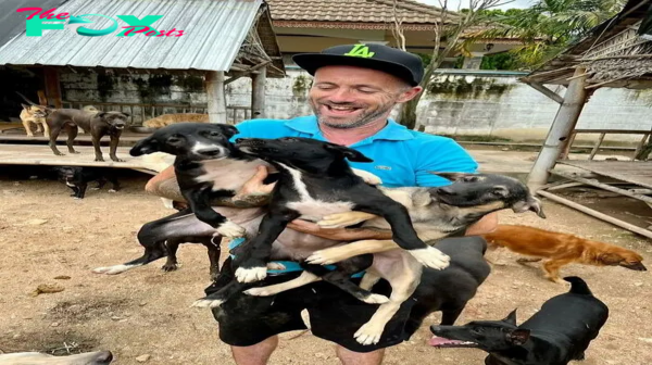 The kind man rescued stray dogs and decided to raise them all in Thailand and was very happy about it.