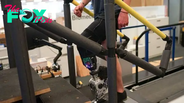 Bionic legs plugged directly into nervous system enable unprecedented 'level of brain control'