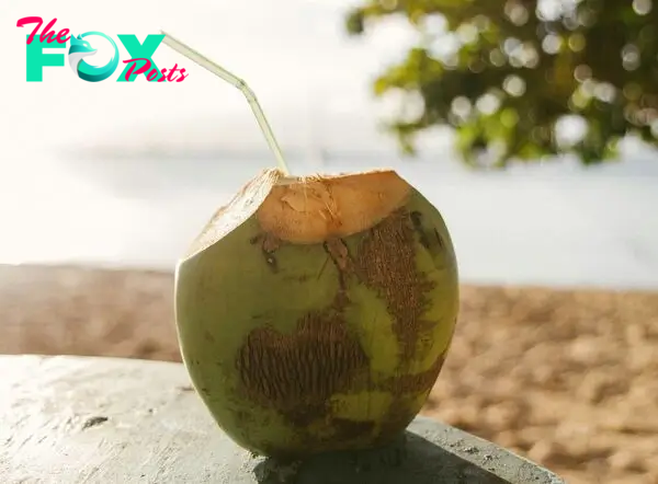 Is Coconut Water the Key to Beat the Heat?