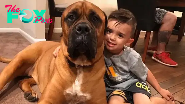 LS ”Dedicated Friend: Dog Stands by 3-Year-Old During Timeout, Winning Hearts on Social Media ‎”