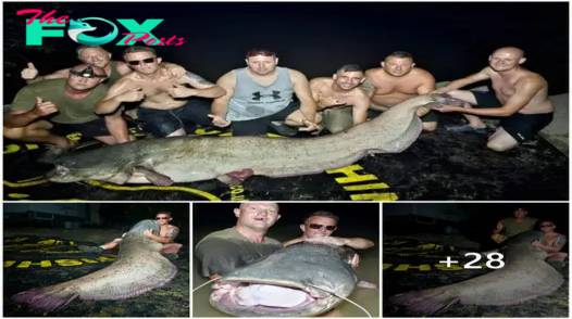 The kids’ vacation turns chaotic when a 250-pound catfish is caught on a fishing trip.