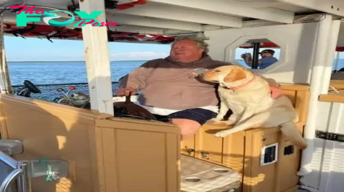 Beloved Reality TV star d ies with beloved dog at his side in horror boating accident