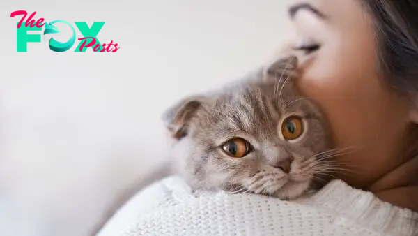 Cats love to meow at humans. Now we know why.