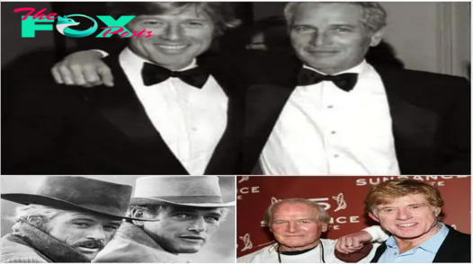 Paul Newman’s brutally honest words – he once confessed what he really thought of Robert Redford