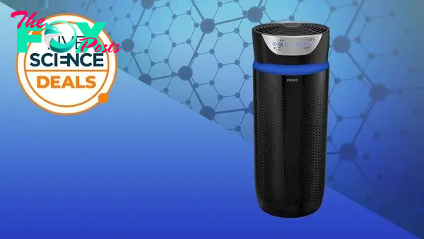 Save a huge 40% on one of the best air purifiers