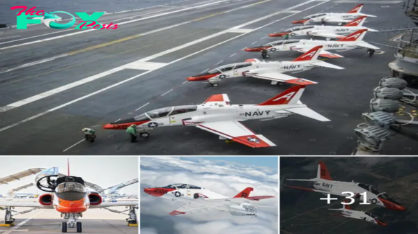 US Navy Training Air Wing 2 Completes One Million Hours in T-45 Goshawk.hanh