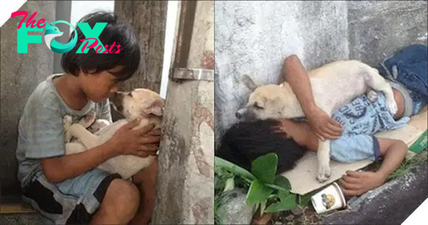 A touching story unfolds when a boy abandoned by his parents finds love and comfort in the devoted arms of a loyal dog even though both have to sleep on the side of the road.