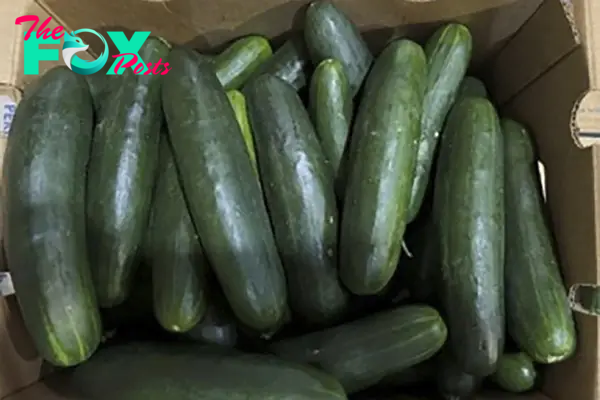 Florida Woman Sues Companies Over Cucumbers Linked to Salmonella Outbreak