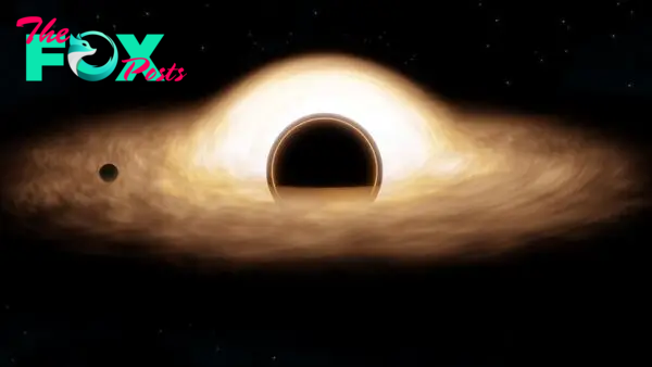 What would happen if a black hole wandered into our solar system?
