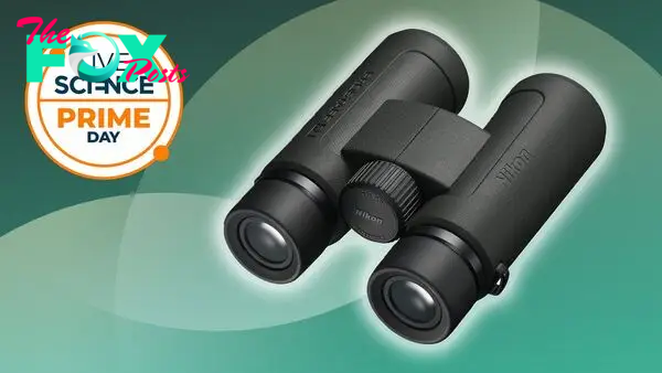 Save 35% on Nikon PROSTAFF P3 10x42 binoculars at Amazon