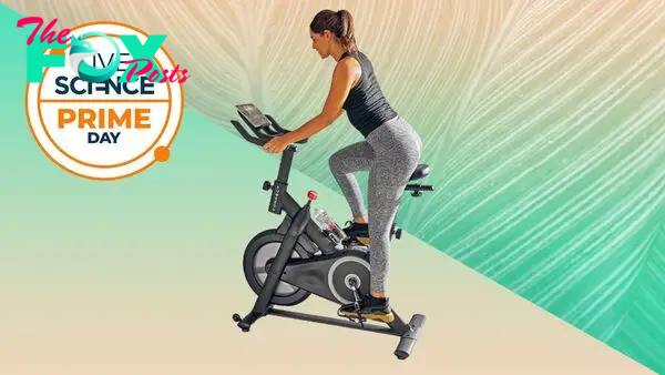 Act fast! Save $150 on this Echelon exercise bike limited claim deal