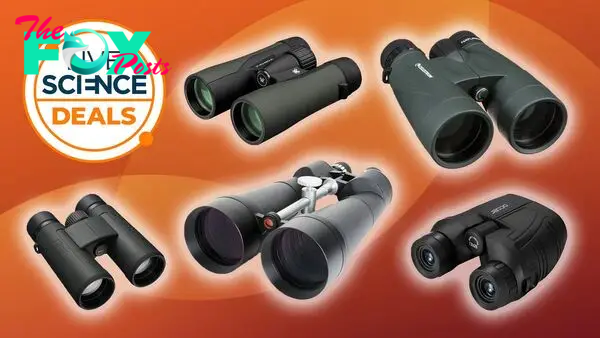 These are the cheapest binocular deals you can buy