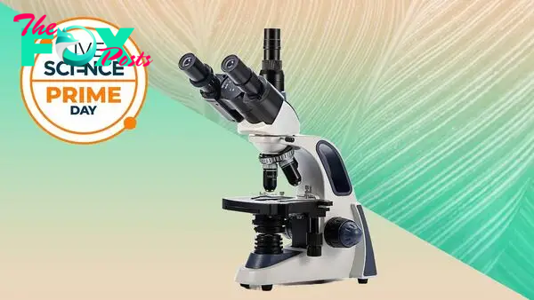 Spotted: $150 off this amazing research-grade Swift SW380T microscope