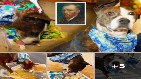 Meet ‘Van Gogh,’ The One-Eared Dog Who Paints Masterpieces With His Tongue