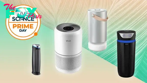 Nearly over: Best Prime Day air purifier deals we recommend