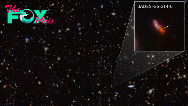 Can the James Webb Space Telescope see galaxies over the universe's horizon?