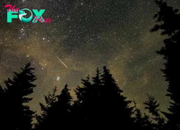 The best meteor showers of 2024 are yet to come. Here are the key nights to watch for.