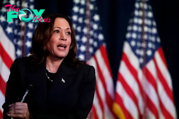 Silicon Valley Leaders Have Taken to Donald Trump. Could Kamala Harris Win Them Over?