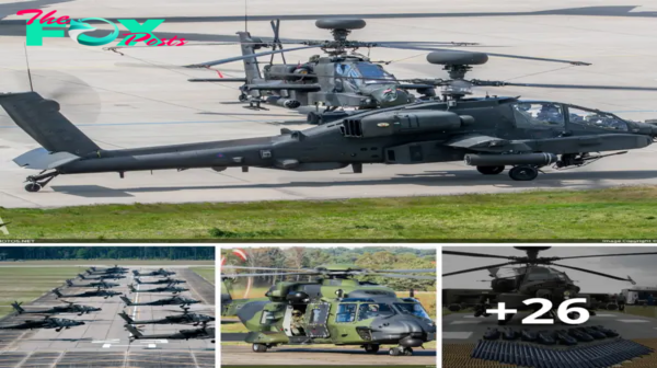 Unlocking Nature’s Secrets: The AH-64D Apache – The Backbone of the US Army’s Attack Helicopter Fleet.lamz