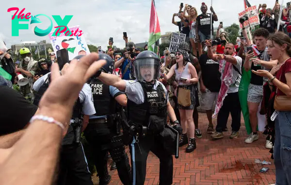 Pro-Palestinian Protesters Burn American Flags and Deface Monuments Amid Clashes With Police in D.C.